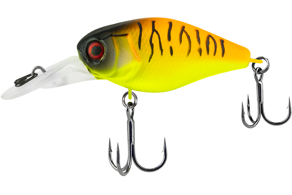 tropical mat tiger