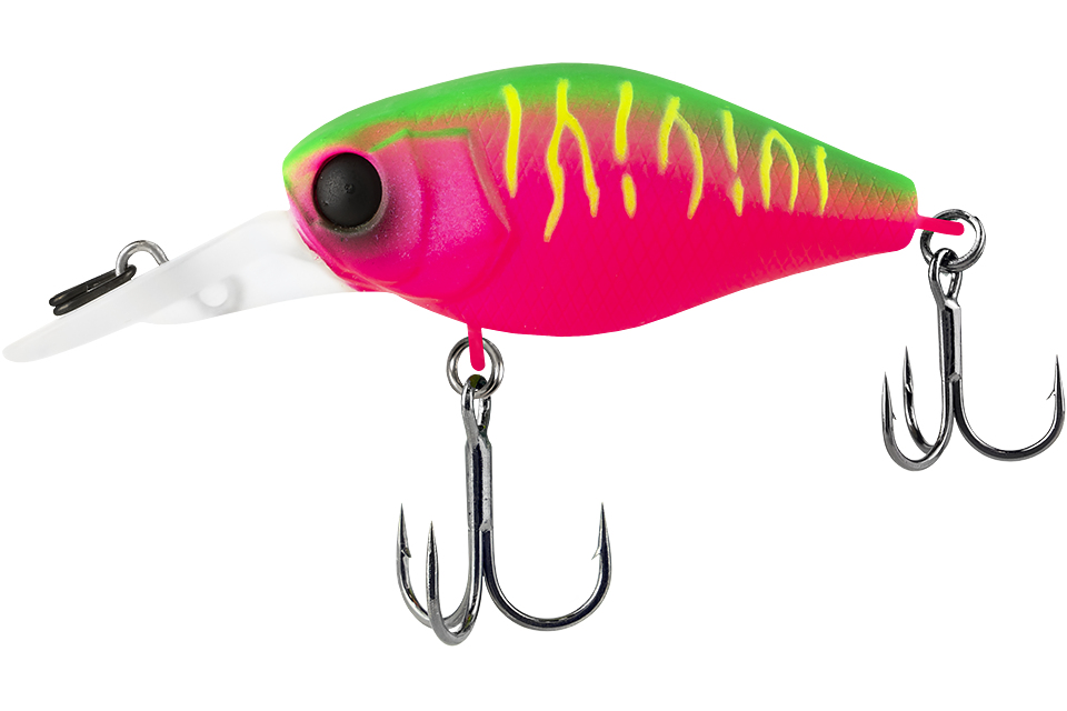 dragon fruit mat tiger