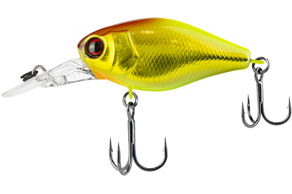 gold & chartreuse