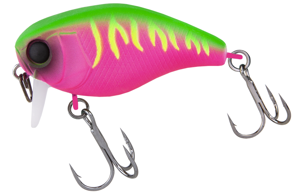 dragon fruit mat tiger
