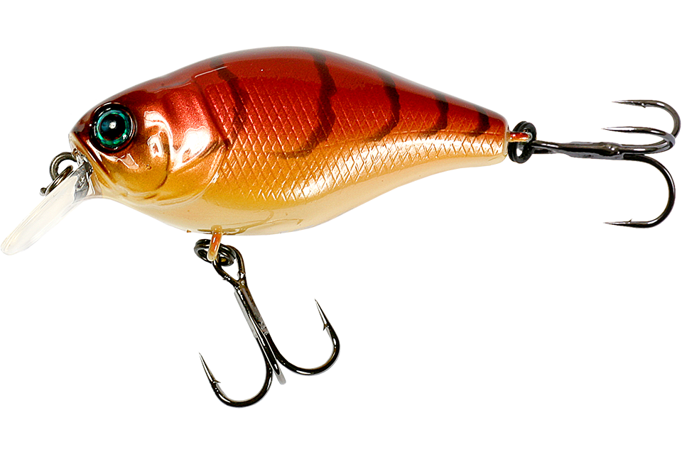 craw fish