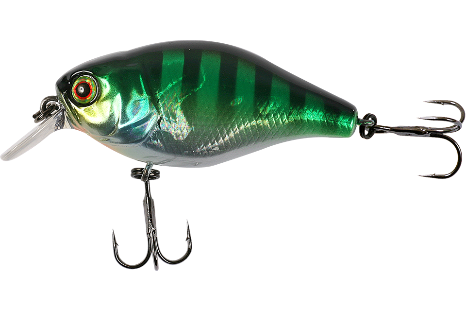 hl blue gill