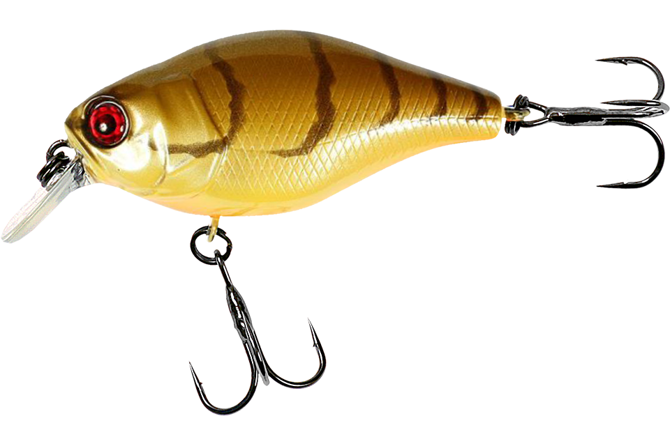 brown craw