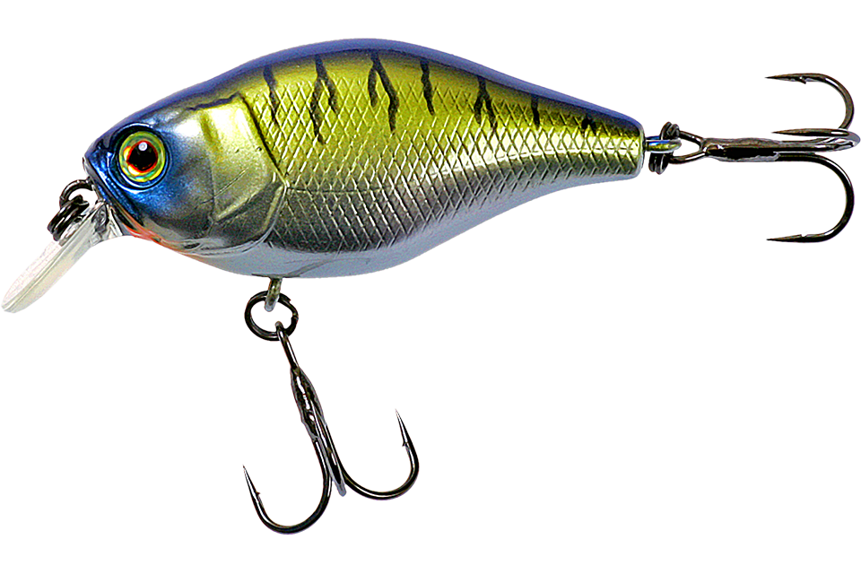 chrome tiger