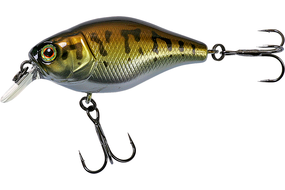 bass coach