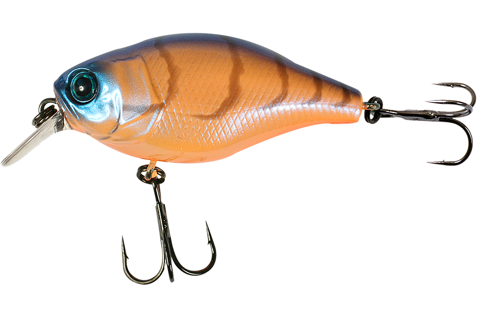 chameleon craw