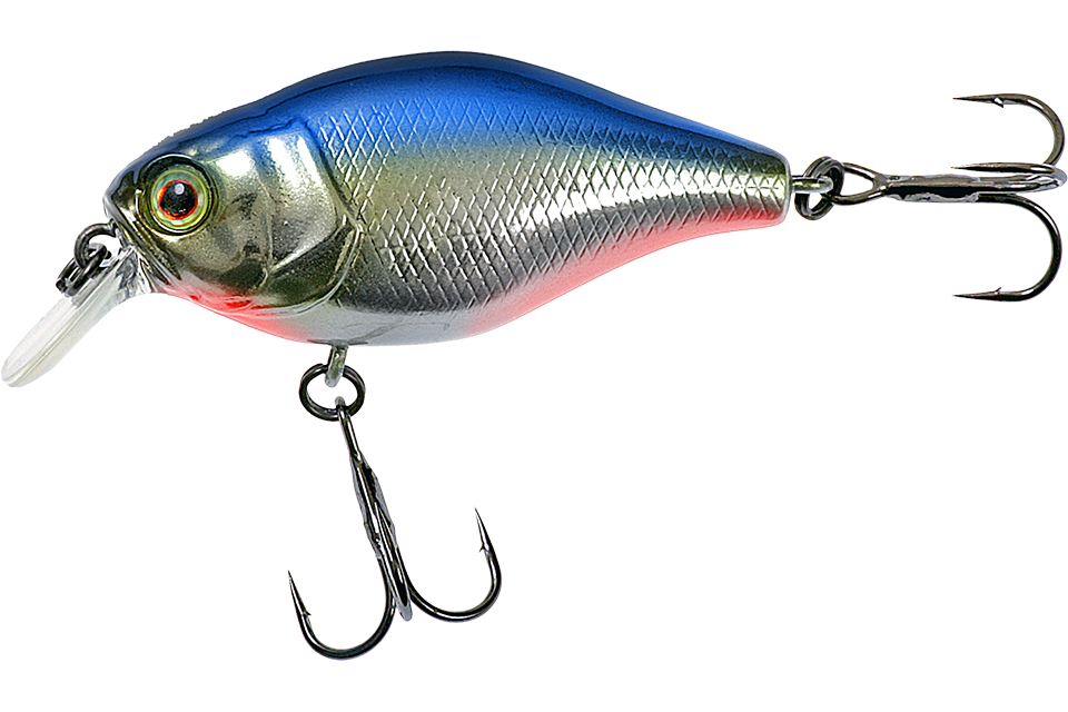 hl blue shad