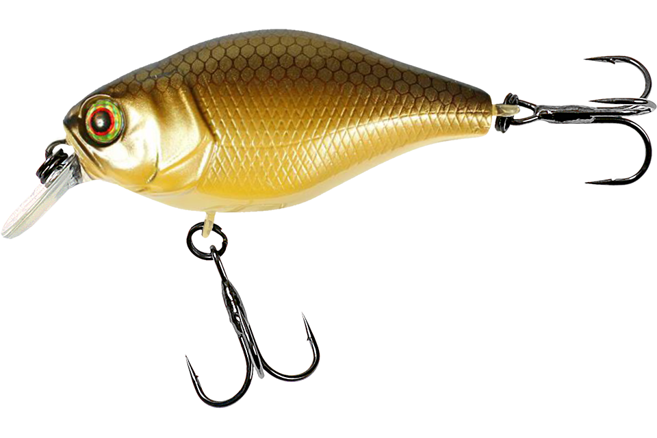 noike gold bera
