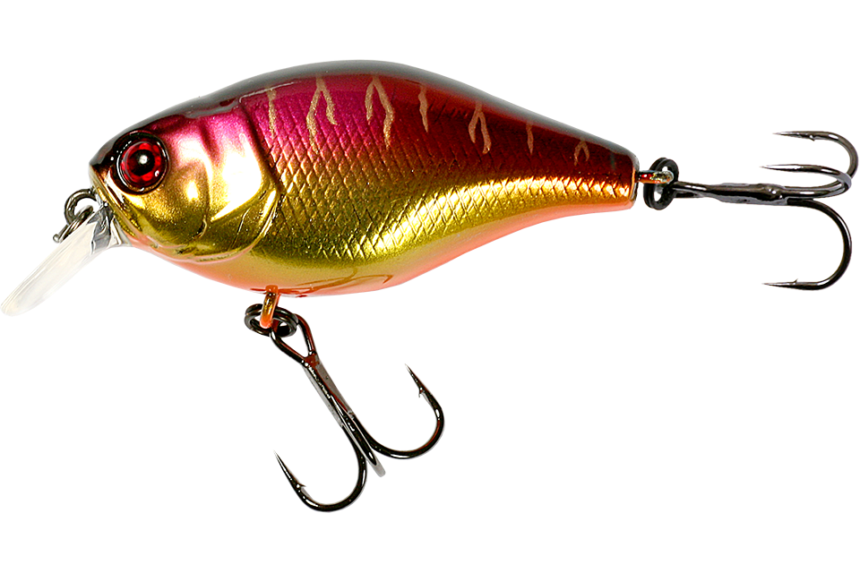 spawning tiger