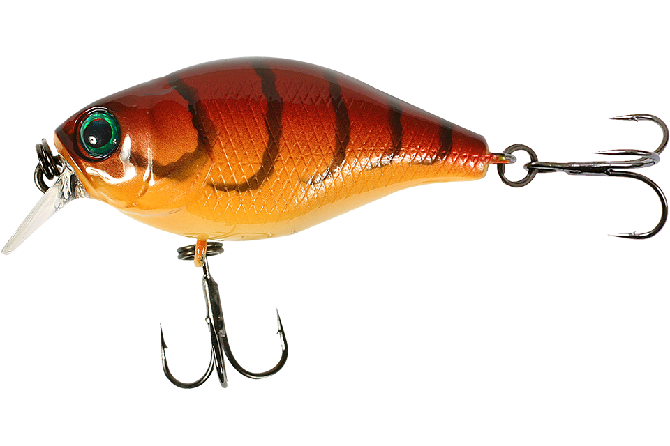 craw fish