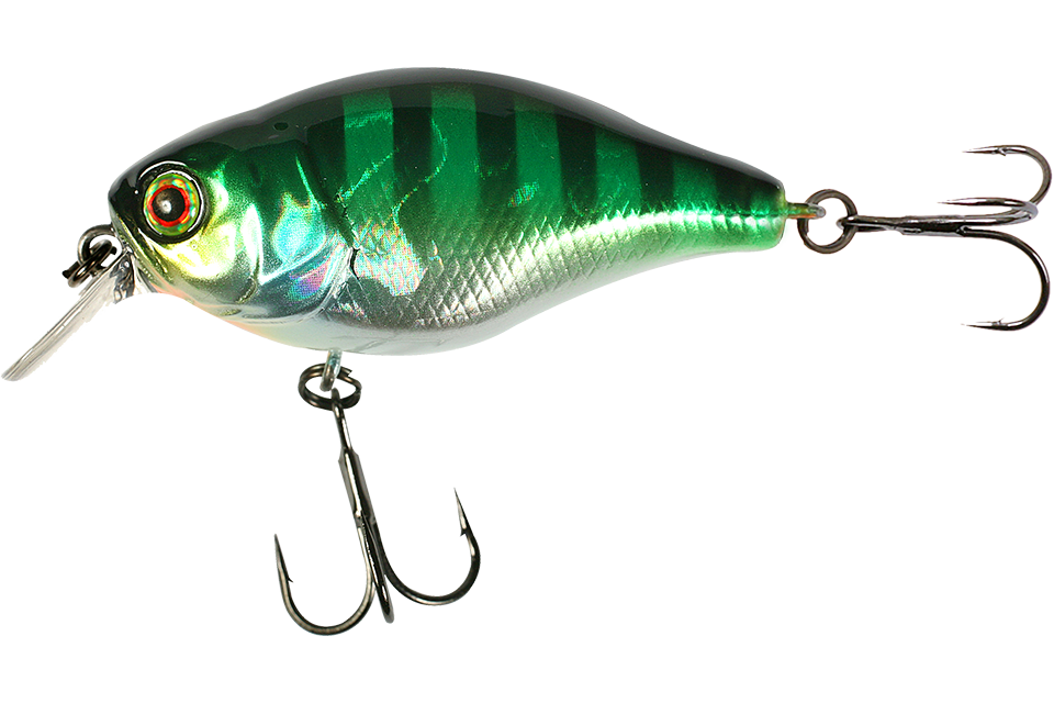 hl blue gill