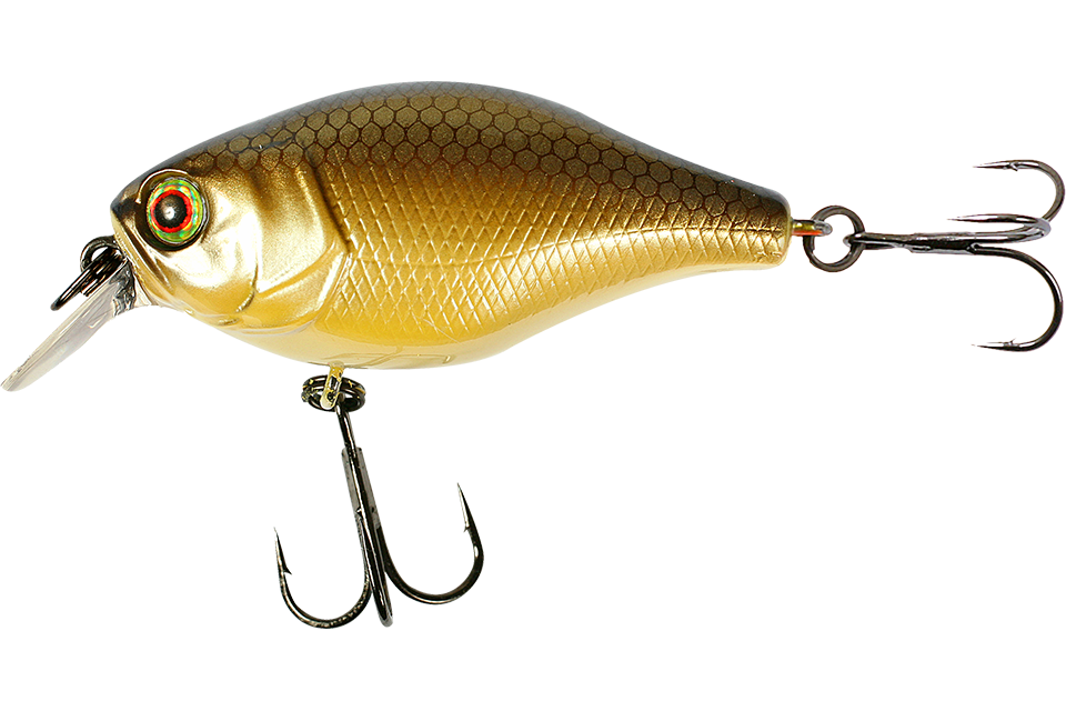 noike gold bera