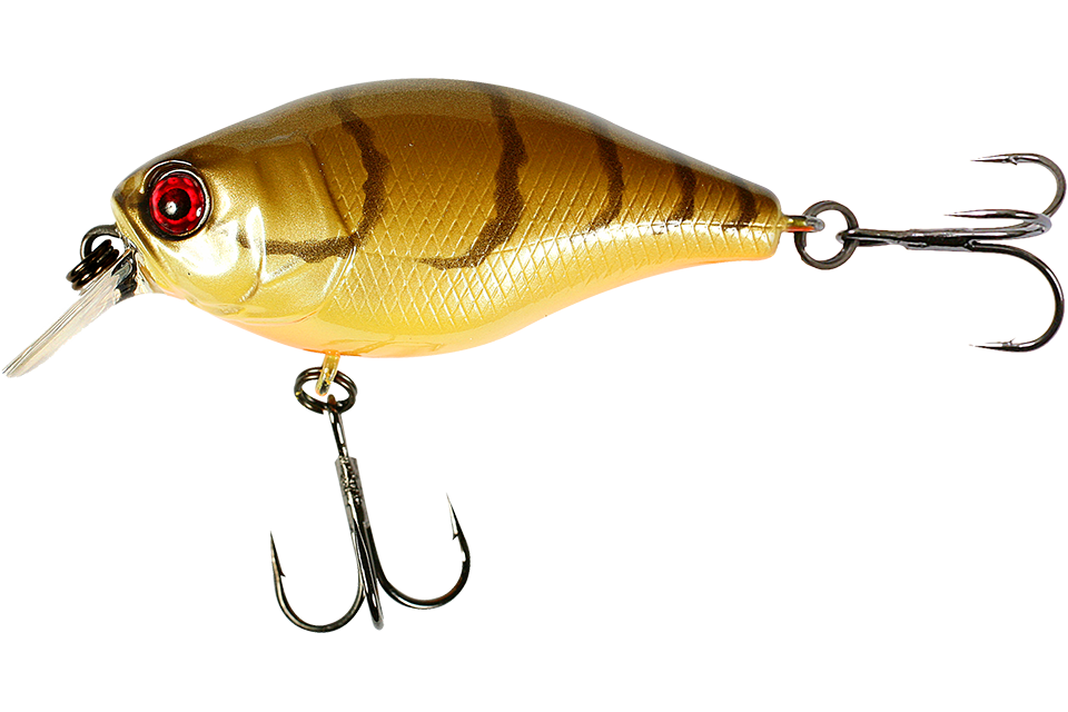brown craw