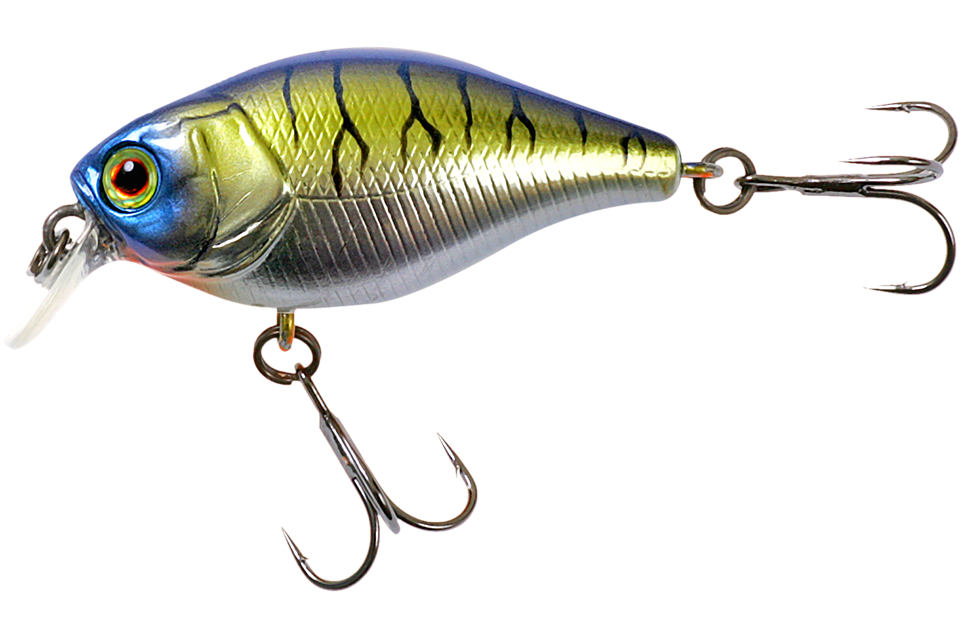 chrome tiger
