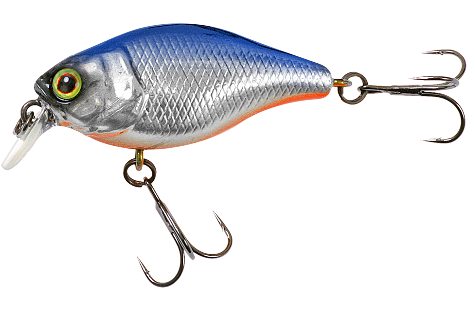 hl blue shad