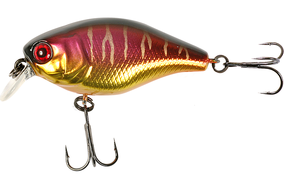 spawning tiger