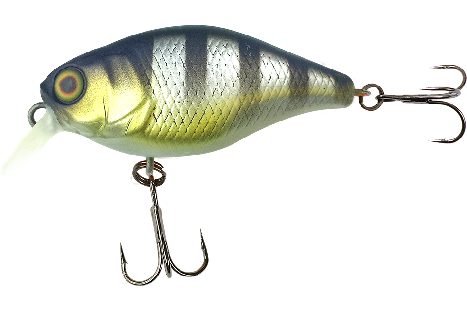 shibu silver gill