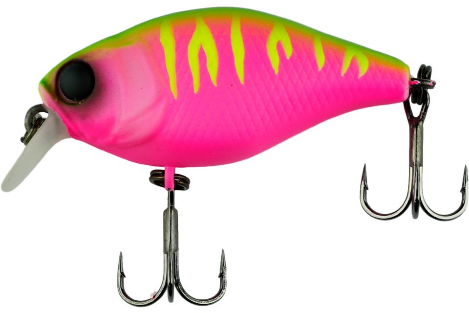 dragon fruit mat tiger