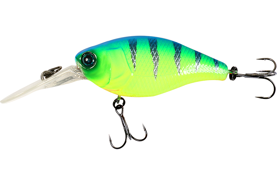 blue back tiger
