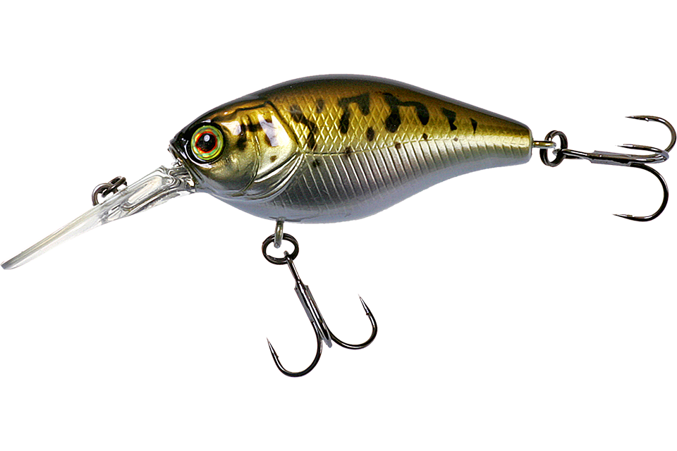 bass coach