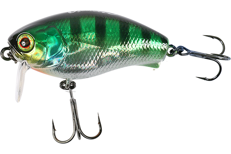 hl blue gill