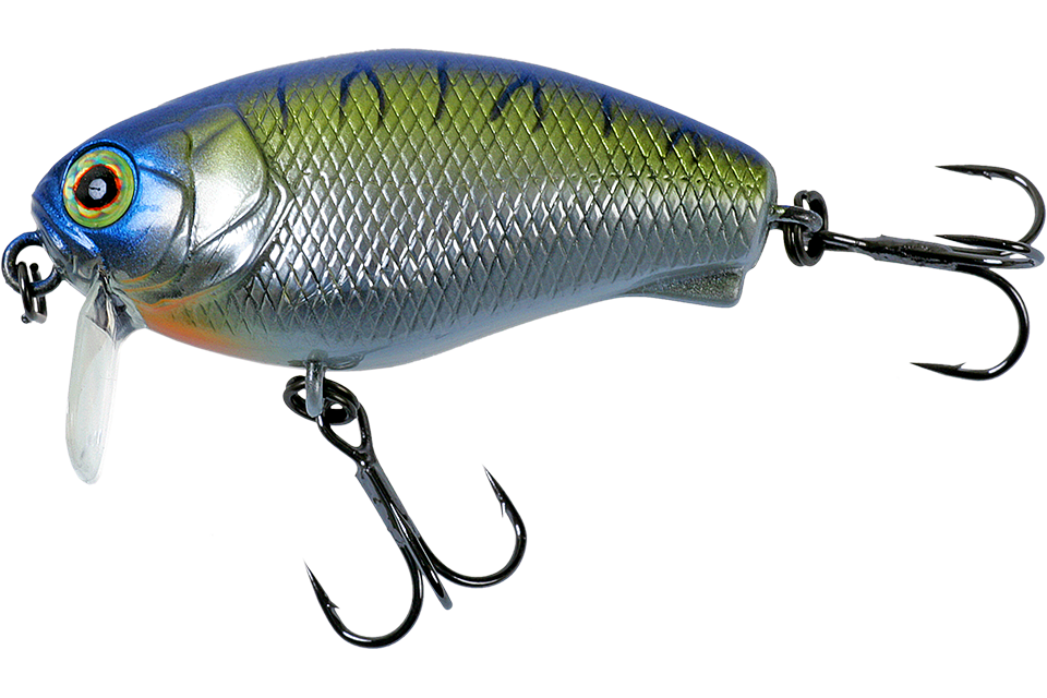 chrome tiger