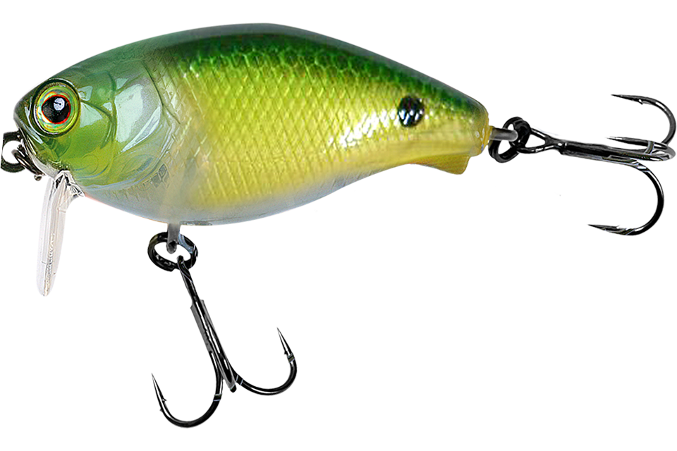 noike green back
