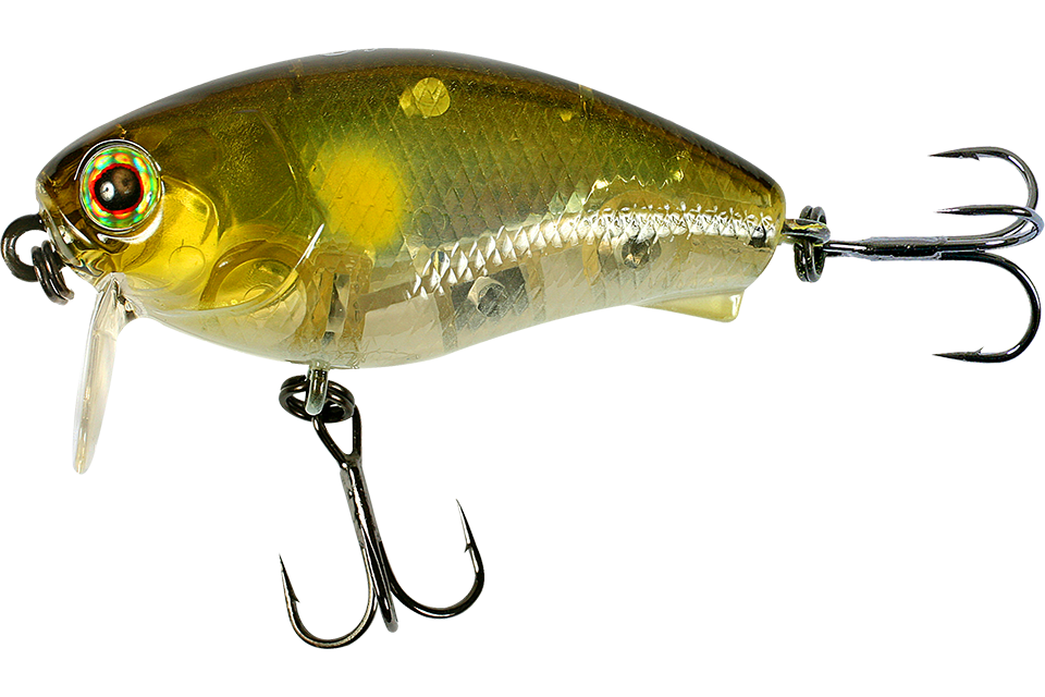 fp ayu