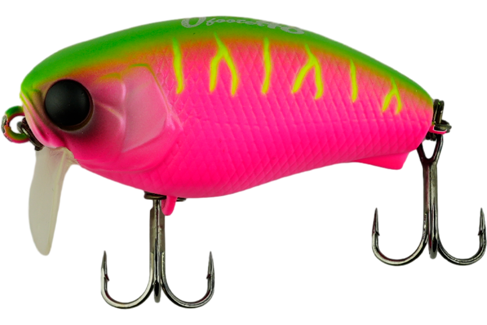 dragon fruit mat tiger