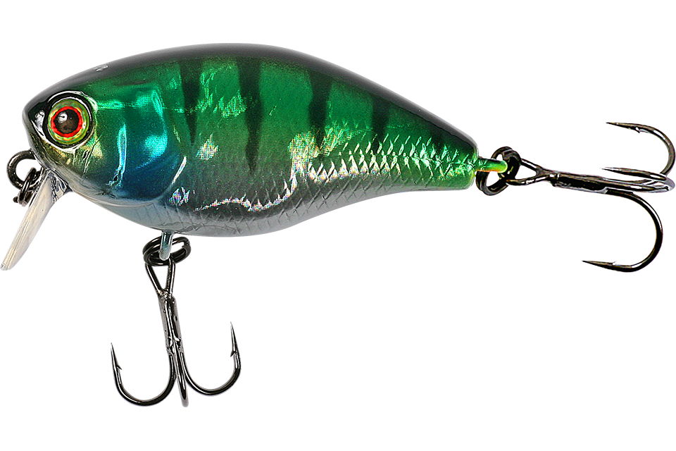hl blue gill
