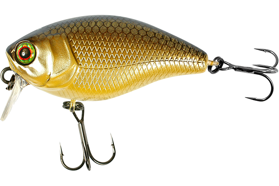 noike gold bera