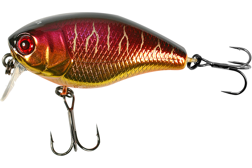 spawning tiger