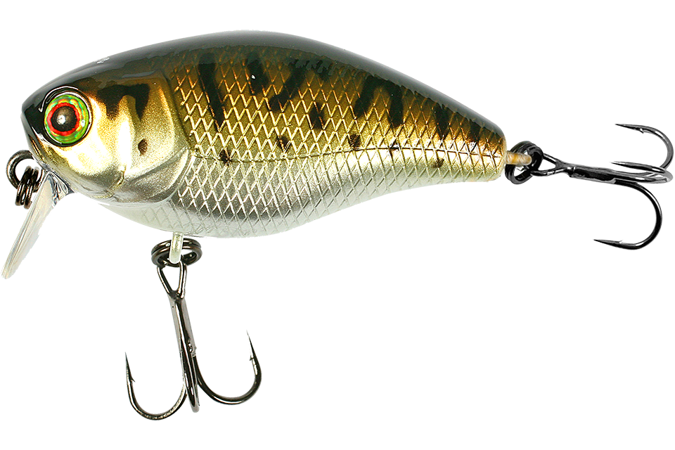 bass coach