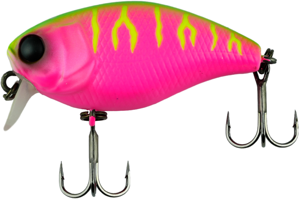 dragon fruit mat tiger