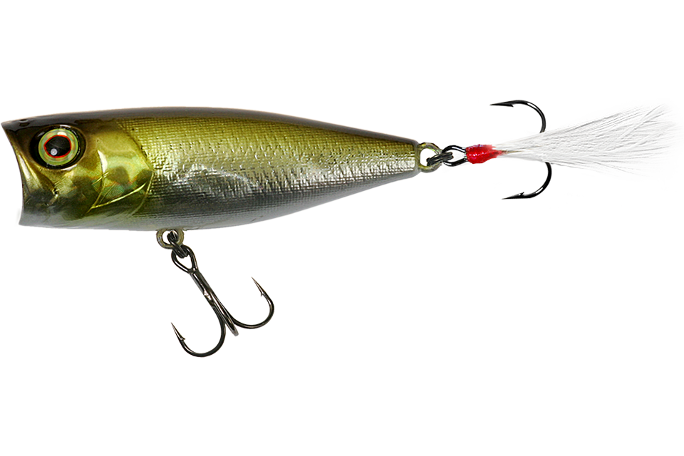 hl shad