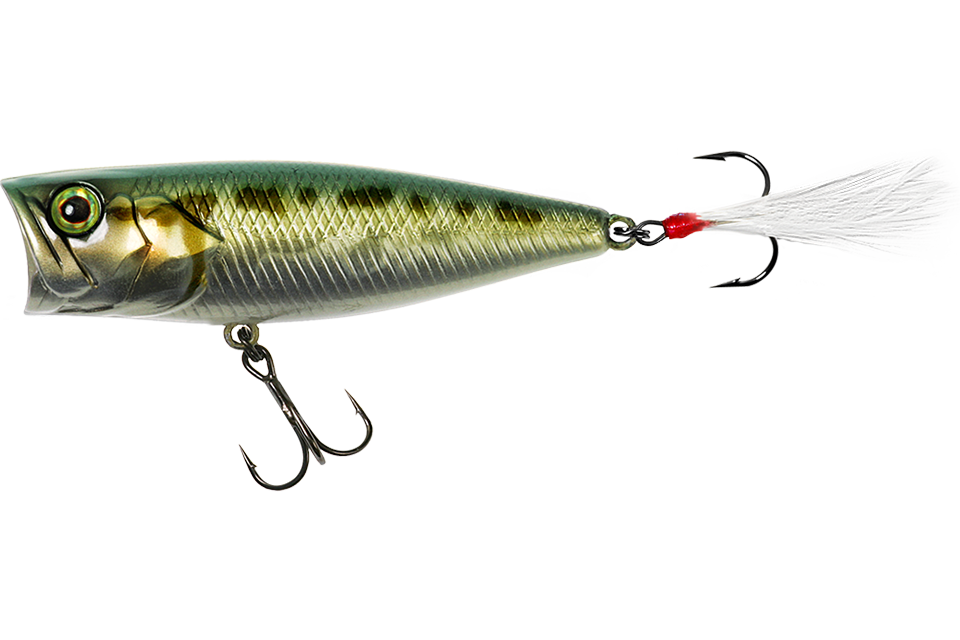 hl bass