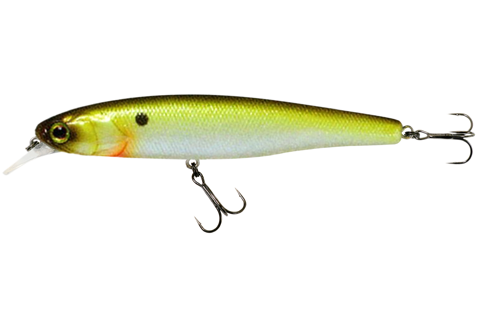 chartreuse shad