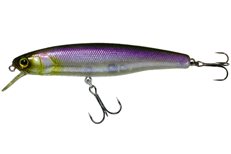 ghost minnow