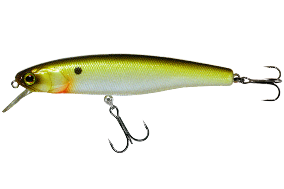 tennessee shad