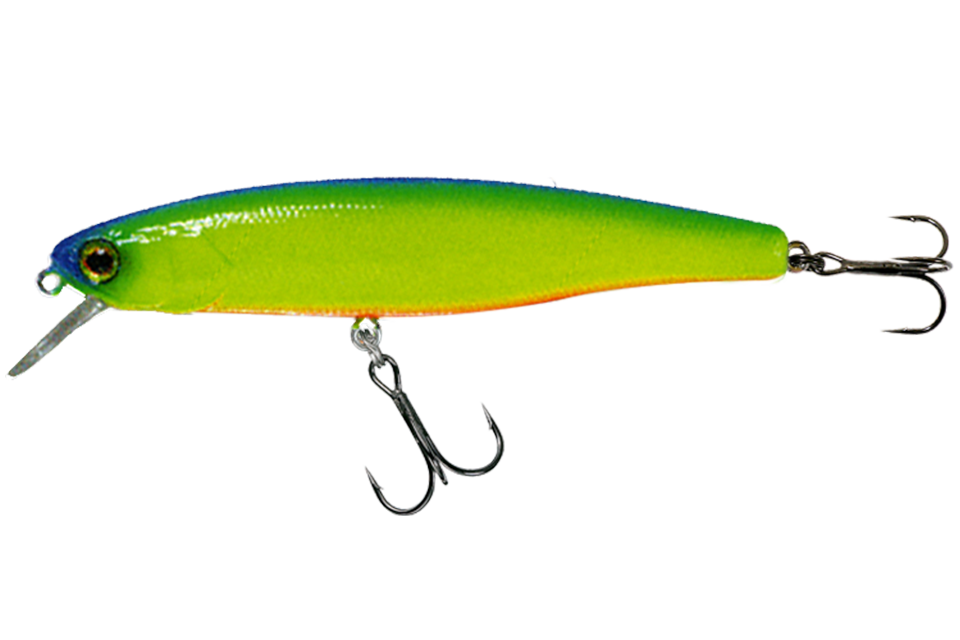 Light blueback chartreuse