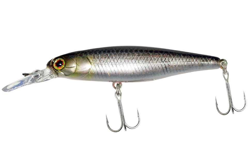 reservoir shad