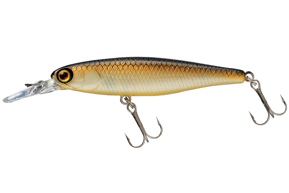 noike shad