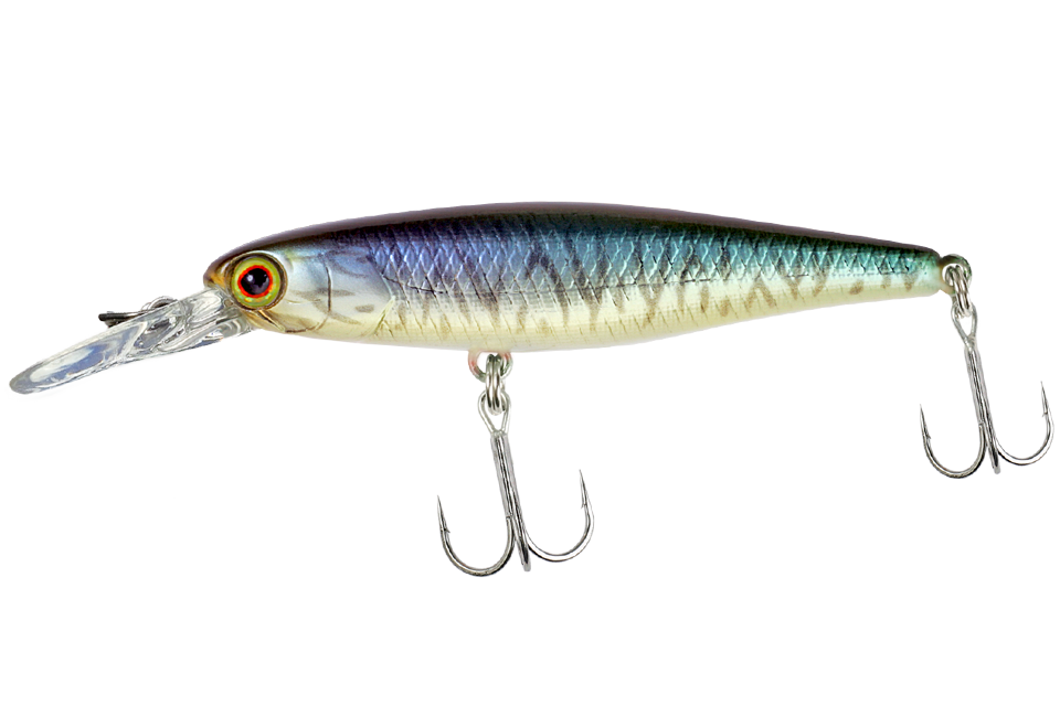 hl bronze blue pike