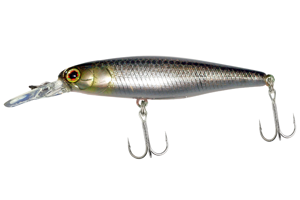 reservoir shad