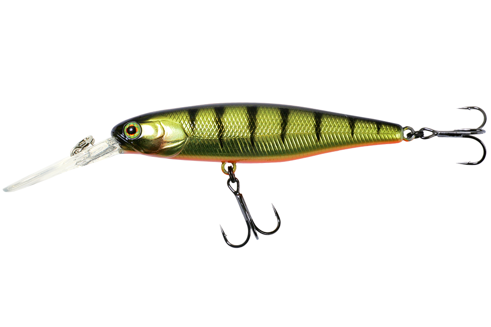 hl champagne tiger