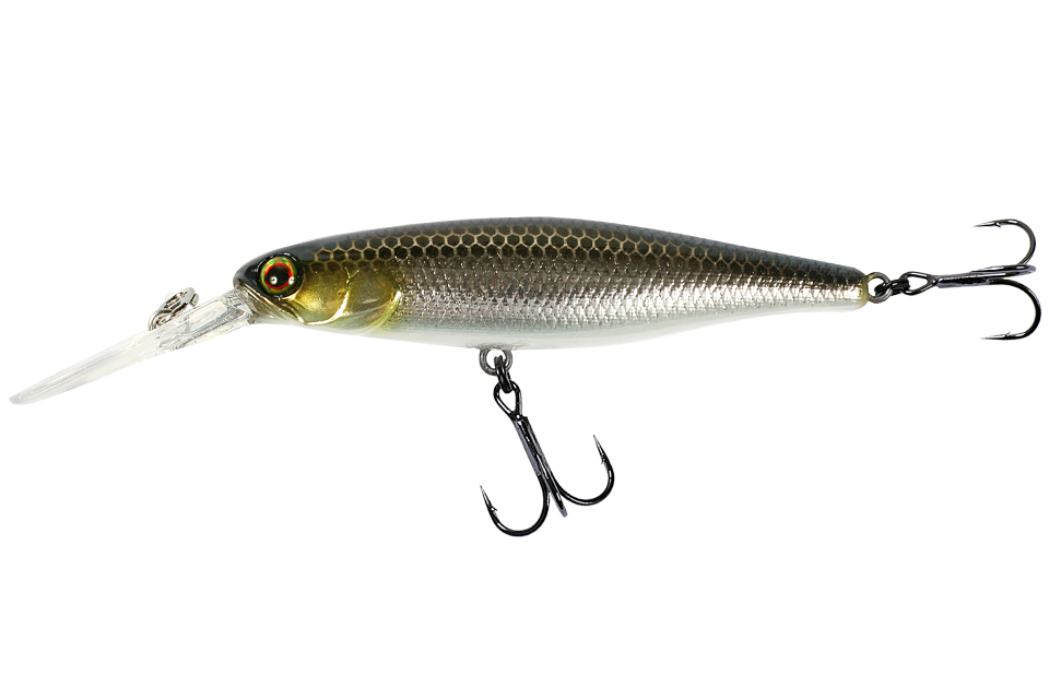 reservoir shad