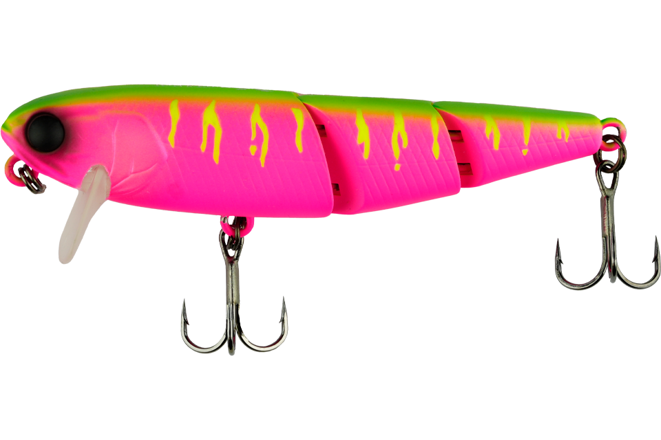 dragon fruit mat tiger