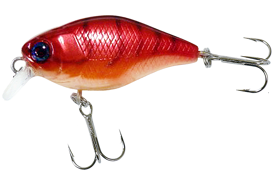 craw fish