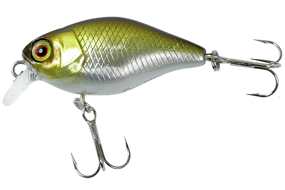 hl shad