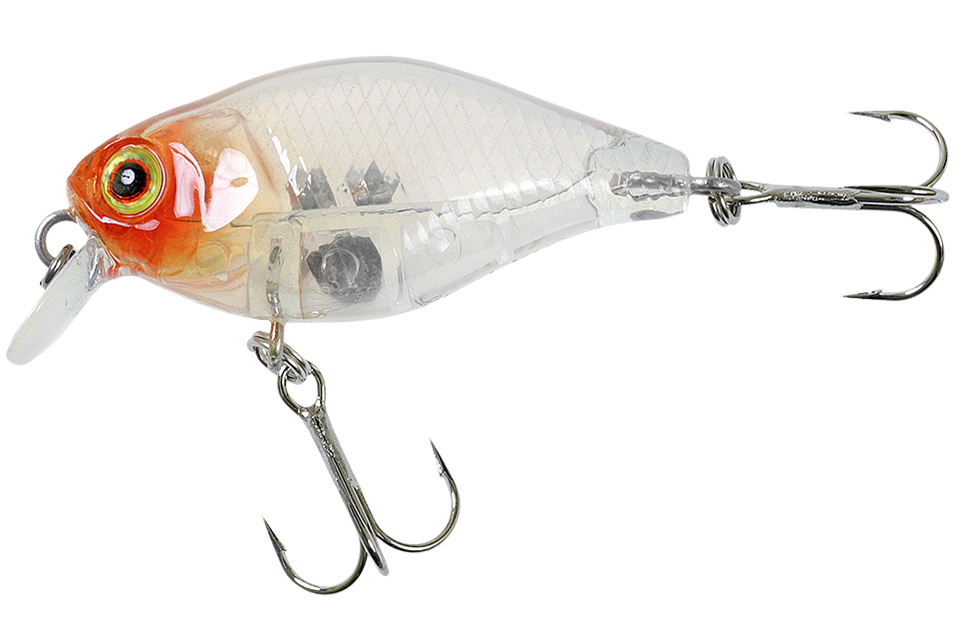 clear salmon roe head